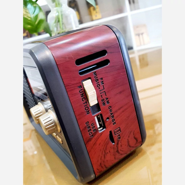 اسپیکر رادیو برند گولون مدل RXBT3500s